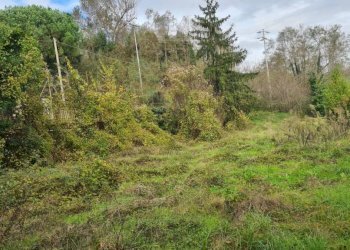Terreno - Ristorante via Giuseppe Badino, 23, Mignanego - foto 9