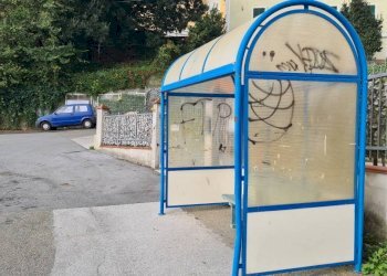 Zona - Ristorante via Giuseppe Badino, 23, Mignanego - foto 17