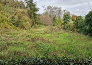 Terreno - Ristorante via Giuseppe Badino, 23, Mignanego - foto 6