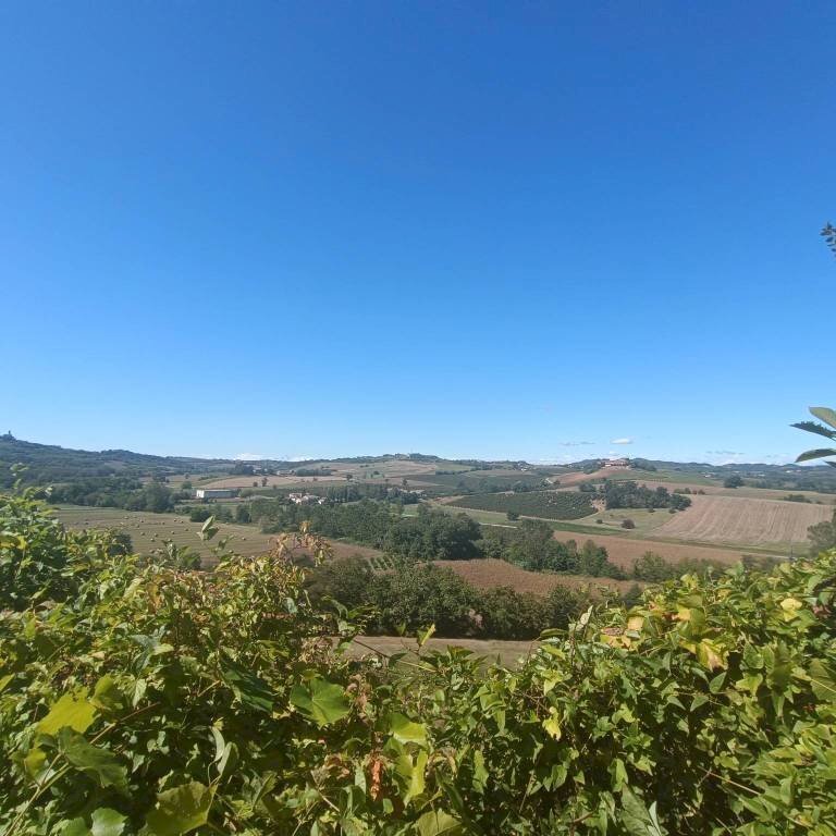 Vista - Rustico via Casale, Camagna Monferrato - foto 2