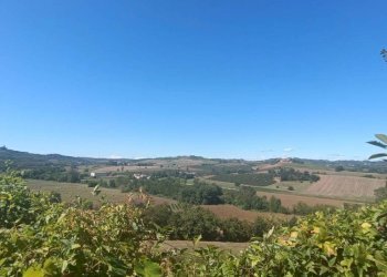 Vista - Rustico via Casale, Camagna Monferrato - foto 2
