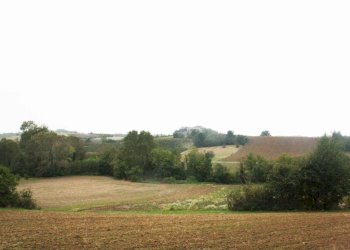 Terreno - Rustico via Casale, Camagna Monferrato - foto 8