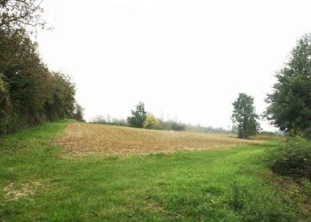 Terreno - Rustico via Casale, Camagna Monferrato - foto 12