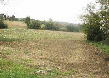 Terreno - Rustico via Casale, Camagna Monferrato - foto 14