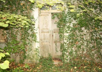 Ingresso - Rustico via Casale, Camagna Monferrato - foto 15