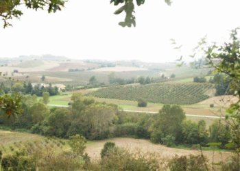 Vista - Rustico via Casale, Camagna Monferrato - foto 25