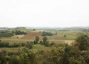 Vista - Rustico via Casale, Camagna Monferrato - foto 38