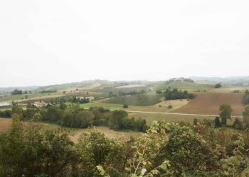 Vista - Rustico via Casale, Camagna Monferrato - foto 41