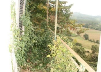 Giardino - Rustico via Casale, Camagna Monferrato - foto 42