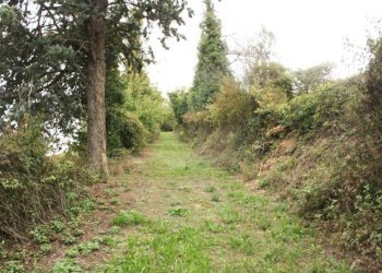 Terreno - Rustico via Casale, Camagna Monferrato - foto 16