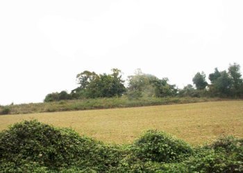 Terreno - Rustico via Casale, Camagna Monferrato - foto 20