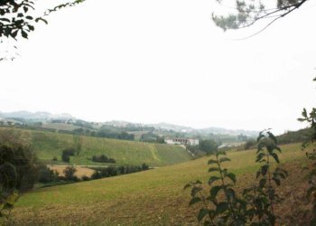 Vista - Rustico via Casale, Camagna Monferrato - foto 21