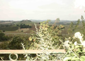 Vista - Rustico via Casale, Camagna Monferrato - foto 31