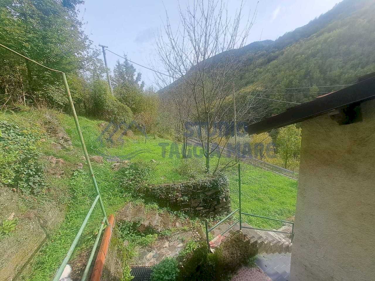 Immagine WhatsApp 2024-10-26 ore 11.53.10_b31897ce - Magazzino Piazza Roma, Molini di Triora - foto 3