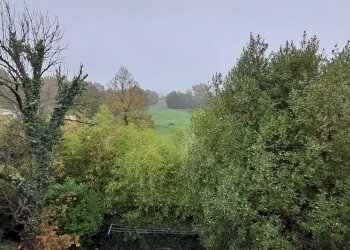 Appartamento Forlì - foto 4