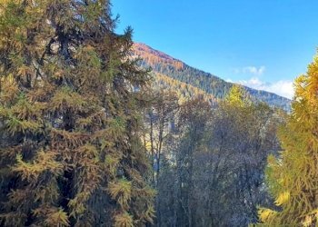 Appartamento Gressan, Pila - foto 14