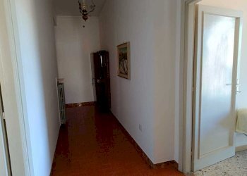 WhatsApp Image 2024-09-15 at 12.33.39.jpeg - Quadrilocale Amelia - foto 11