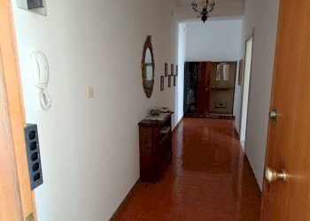 WhatsApp Image 2024-09-15 at 12.33.43 (2).jpeg - Quadrilocale Amelia - foto 25