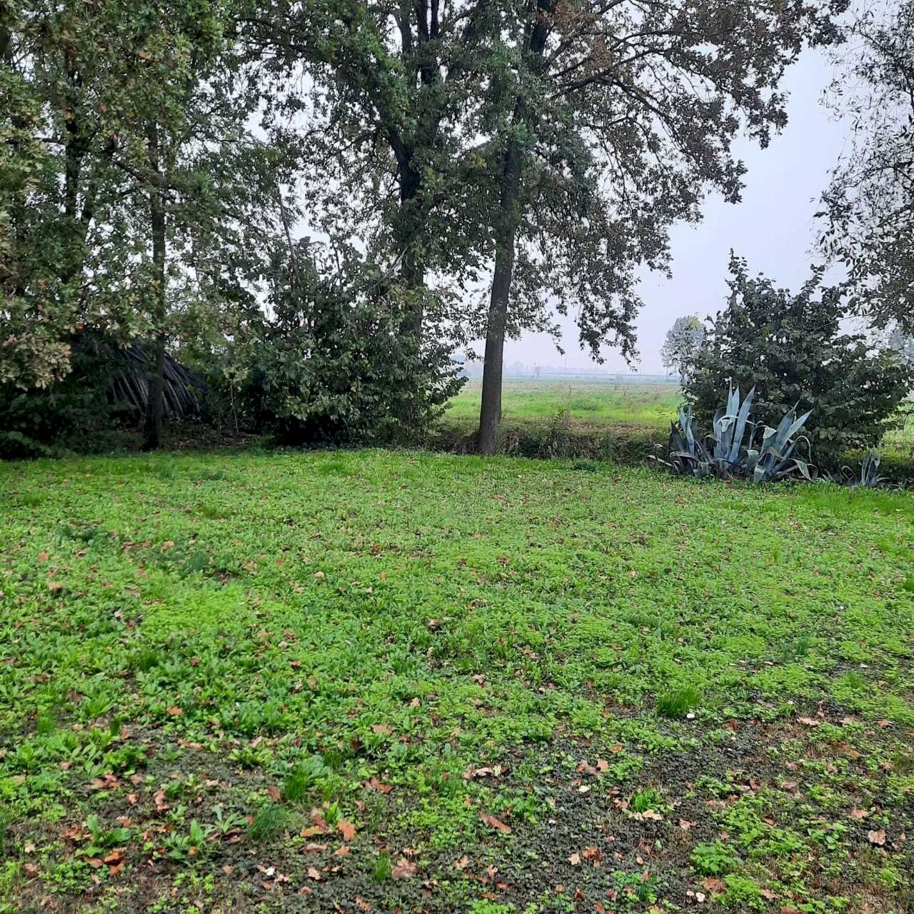 IMG-20241017-WA0040.jpg - Casale Monticelli d'Ongina - foto 2