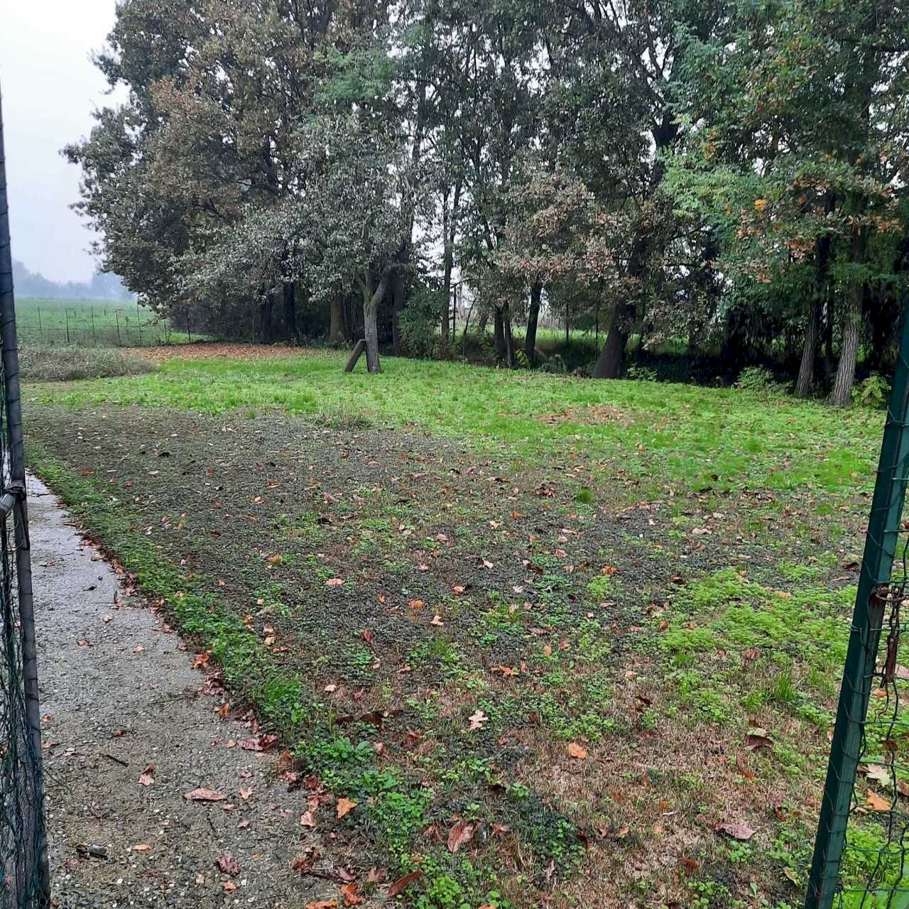 IMG-20241017-WA0041.jpg - Casale Monticelli d'Ongina - foto 3