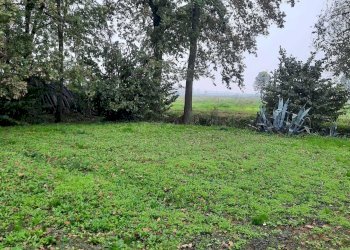 IMG-20241017-WA0040.jpg - Casale Monticelli d'Ongina - foto 2