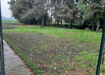 IMG-20241017-WA0041.jpg - Casale Monticelli d'Ongina - foto 3