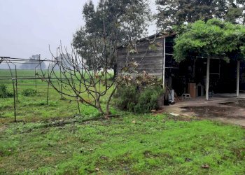 IMG-20241017-WA0042.jpg - Casale Monticelli d'Ongina - foto 4