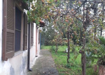 IMG-20241017-WA0044.jpg - Casale Monticelli d'Ongina - foto 6