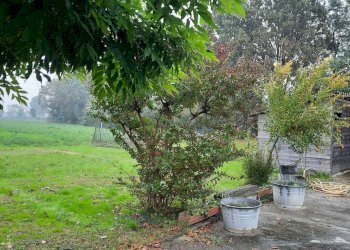 IMG-20241017-WA0046.jpg - Casale Monticelli d'Ongina - foto 8