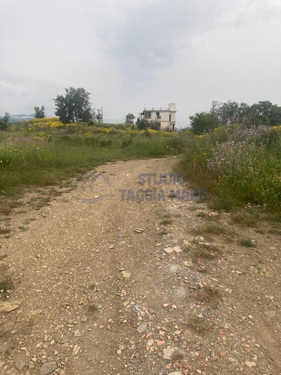 5.jpg - Villa via civezza, Civezza - foto 1