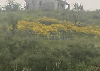 7.jpg - Villa via civezza, Civezza - foto 2