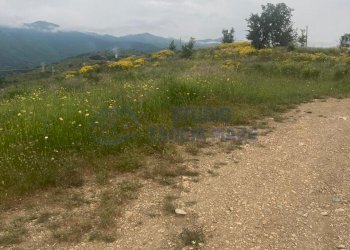 4.jpg - Villa via civezza, Civezza - foto 6