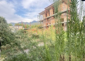 IMG_8239 2.JPG - Villa Seravezza - foto 3