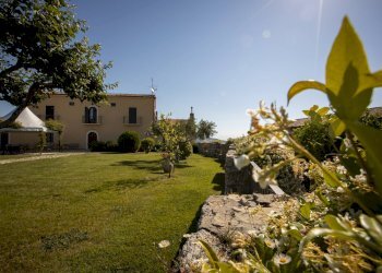 Attività Commerciale CONTRADA DI PEZZE CORUNDOLI, Montecilfone - foto 6