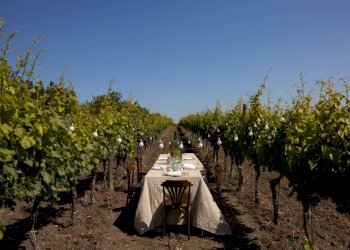 Attività Commerciale CONTRADA DI PEZZE CORUNDOLI, Montecilfone - foto 23