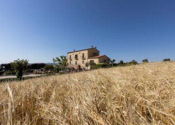 Attività Commerciale CONTRADA DI PEZZE CORUNDOLI, Montecilfone - foto 24