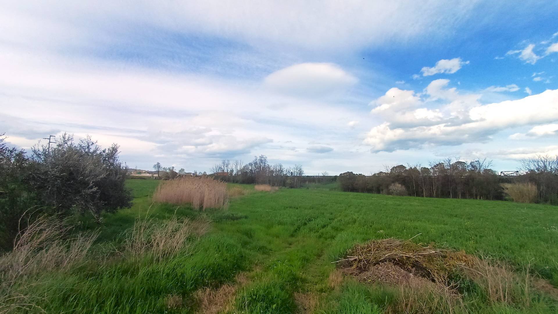 Building land sp22a, Notaresco - photo 3