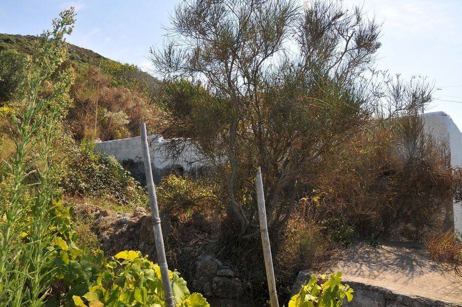 Terreno - Rustico Ponza - foto 3