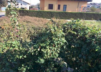 Terreno - Terreno edificabile Scarmagno - foto 6