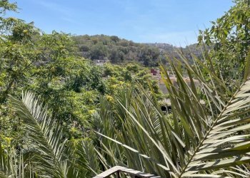 12.jpg - Stabile - Palazzo Lentini - foto 20