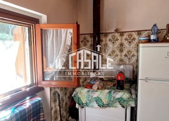 25rincineindipendente.jpg - Casa Colonica Strada Statale Stia - Londa 7, Londa - foto 25