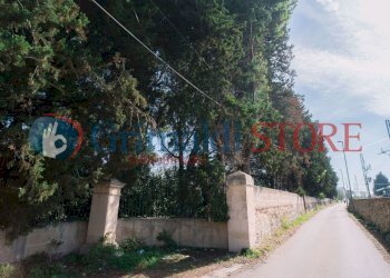 SD200020_risultato.jpg - Villa Via Madonna delle Vigne 1, San Cesario di Lecce - foto 18