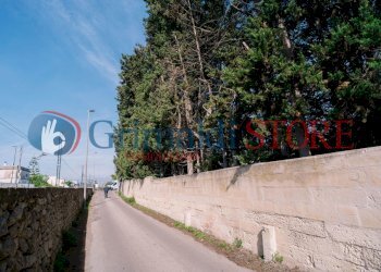 SD200022_risultato.jpg - Villa Via Madonna delle Vigne 1, San Cesario di Lecce - foto 20