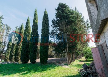 SD209928_risultato.jpg - Villa Via Madonna delle Vigne 1, San Cesario di Lecce - foto 27