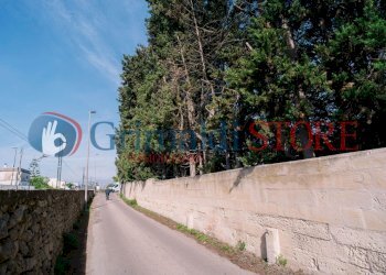SD200022_risultato.jpg - Villa Via Madonna delle Vigne 1, San Cesario di Lecce - foto 20