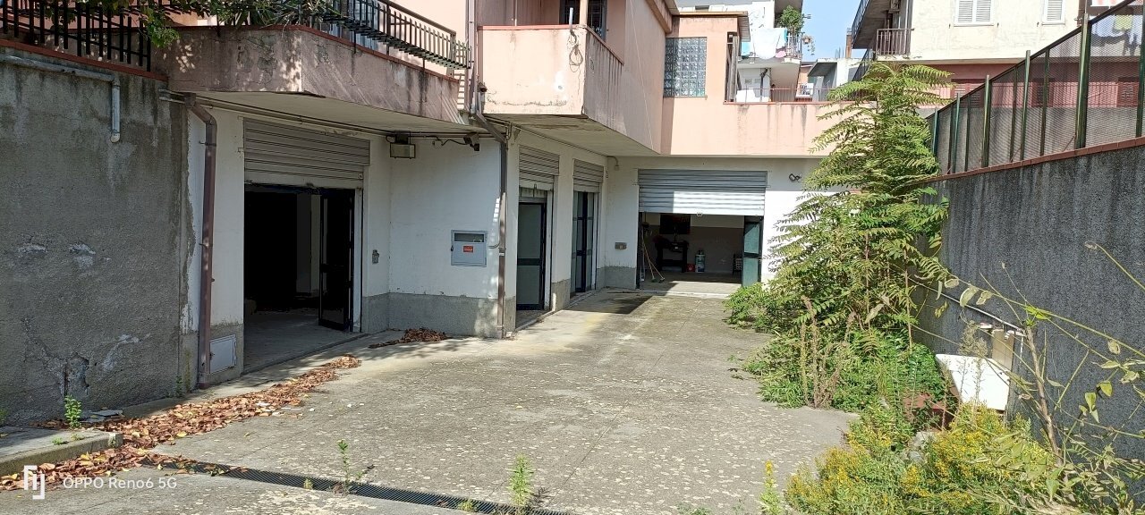 IMG20241026110014.jpg - Magazzino Via del Progresso, Lamezia Terme - foto 3