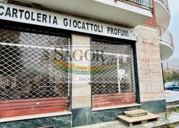 Negozio Pinasca - foto 6