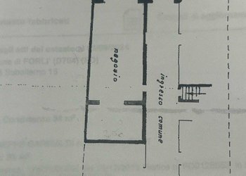 Negozio Forlì - foto 1