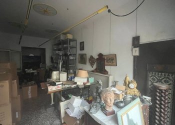 Negozio Forlì - foto 2