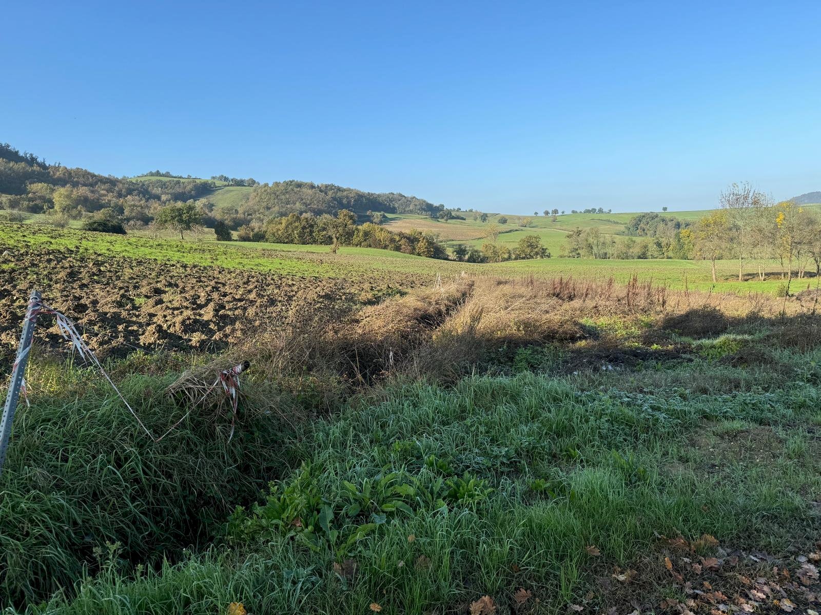Building land strada Tordenaso, hamlet Tordenaso, Langhirano - photo 1